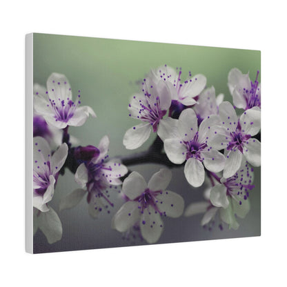 Blossoming Beauty Vibrant Floral Art" Matte Canvas, Stretched, 0.75
